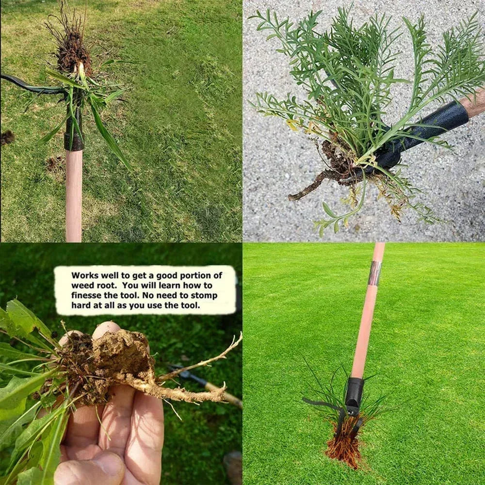Grampa’s Weeder: The Best Stand Up Weed Puller for Effortless Weeding